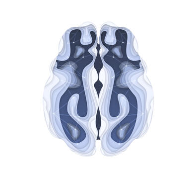 Neurovine Vector Illustrations